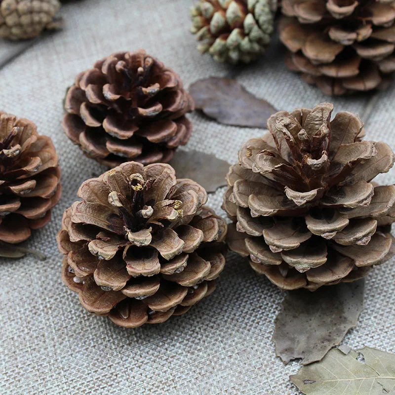 

50pcs 3-6cm Pinecone Christmas Hanging Ornaments For Arrange Flower Xmas Tree Wedding Bridal Bouquet Table Hotal Bar Decoration