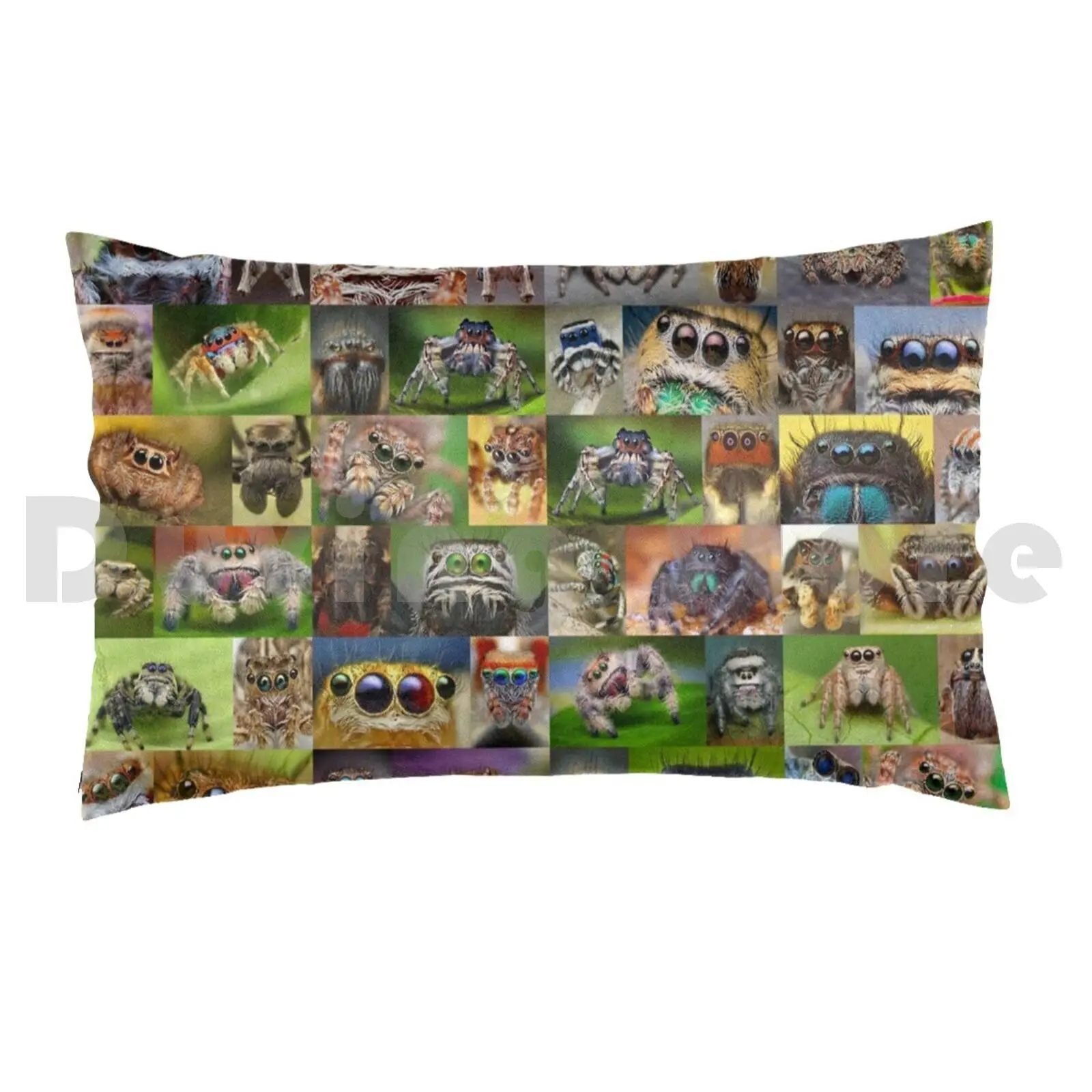 I Only Have Eyes For You Pillow case Spiders Eyes Arachnids Venom