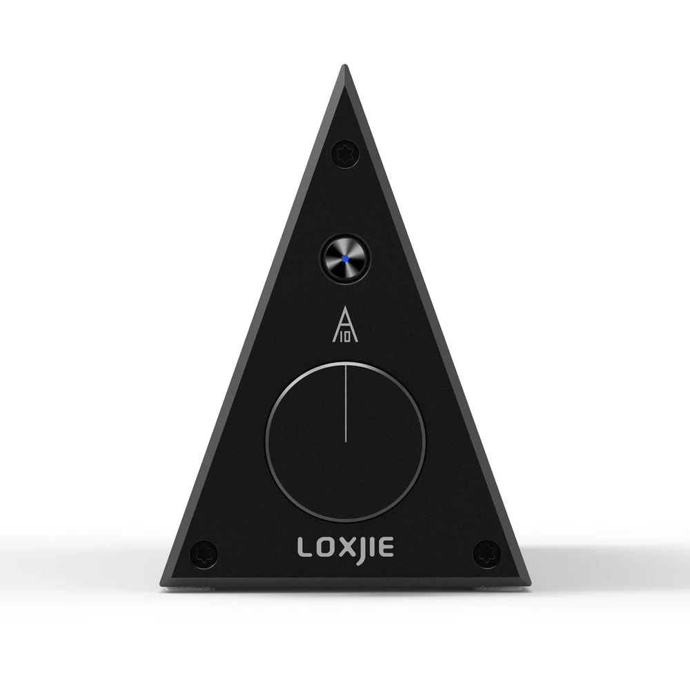 LOXJIE A10 Desktop Stereo Amplificatore di Potenza Digitale di Classe-D Ad alta Potenza Audiophile Livello Amp Chip di TPA3116