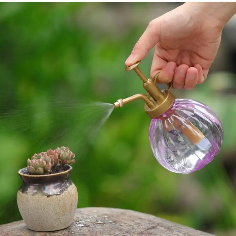 Botella pulverizadora para riego de plantas y flores, hervidor para plantar suculentas, suministros de herramientas de jardín pequeño, 350ML