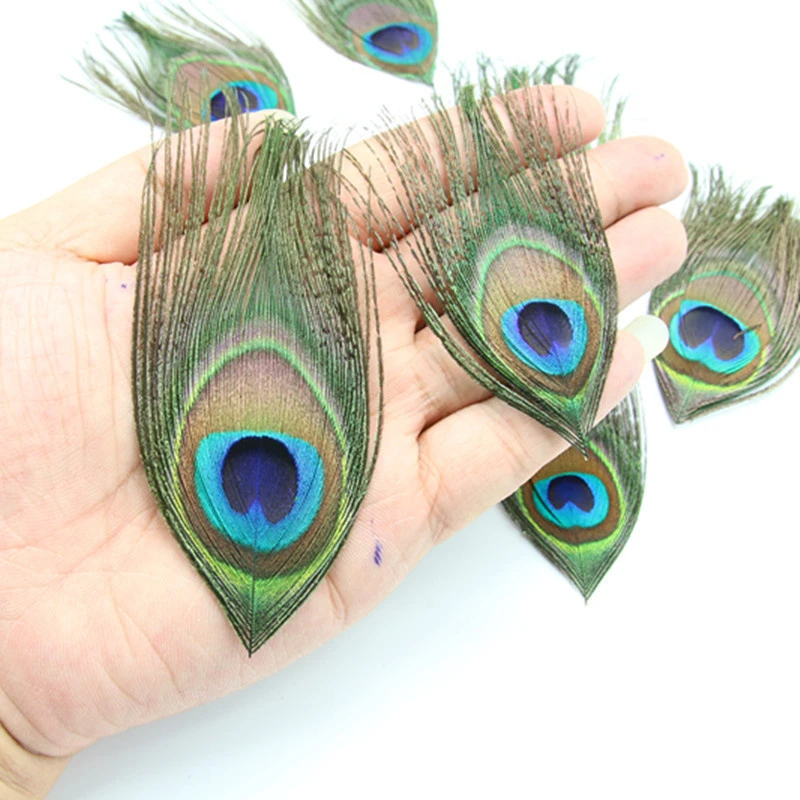 20Pcs/Lot Real Peacock Feather Eye Trimmed 10-15cm/4-6