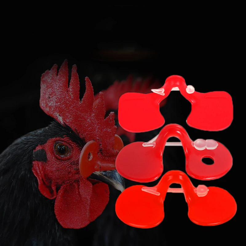 1000pcs Plastic Red Chicken Eyes Glasses Livestock Farm Chicken Pigeon Pheasant Anti-pecking Glasses Poultry feeding Supplies