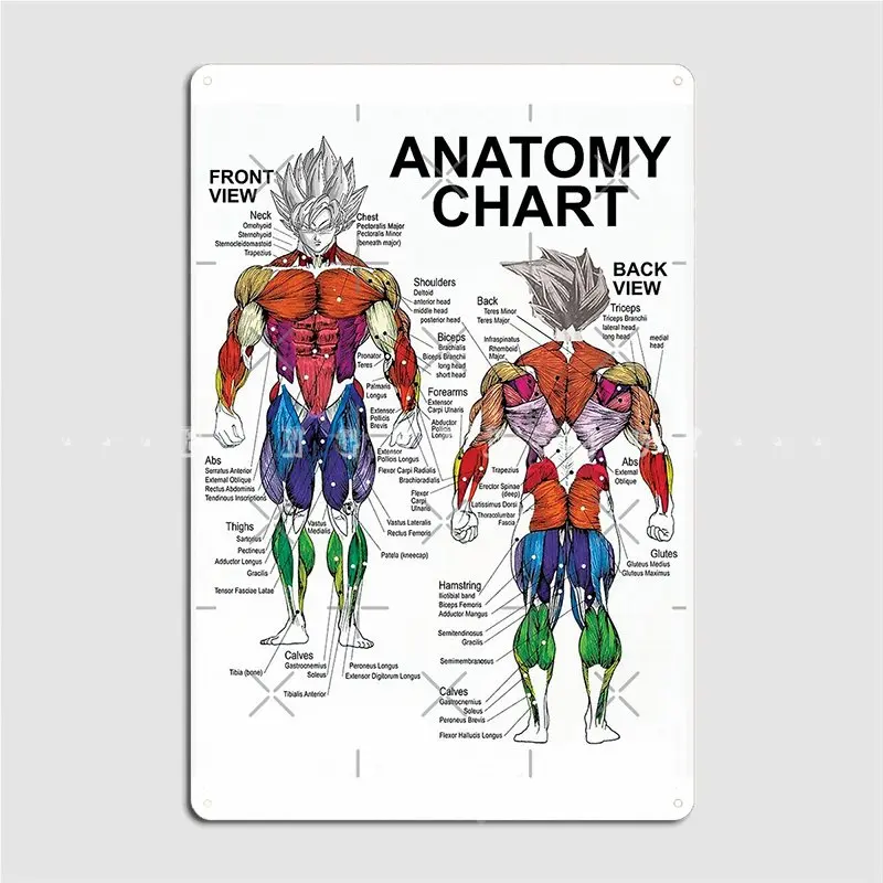 Anatomy Muscle Chart Diagram Metal Sign Plates Club Party Pub Garage Vintage Tin Sign Poster