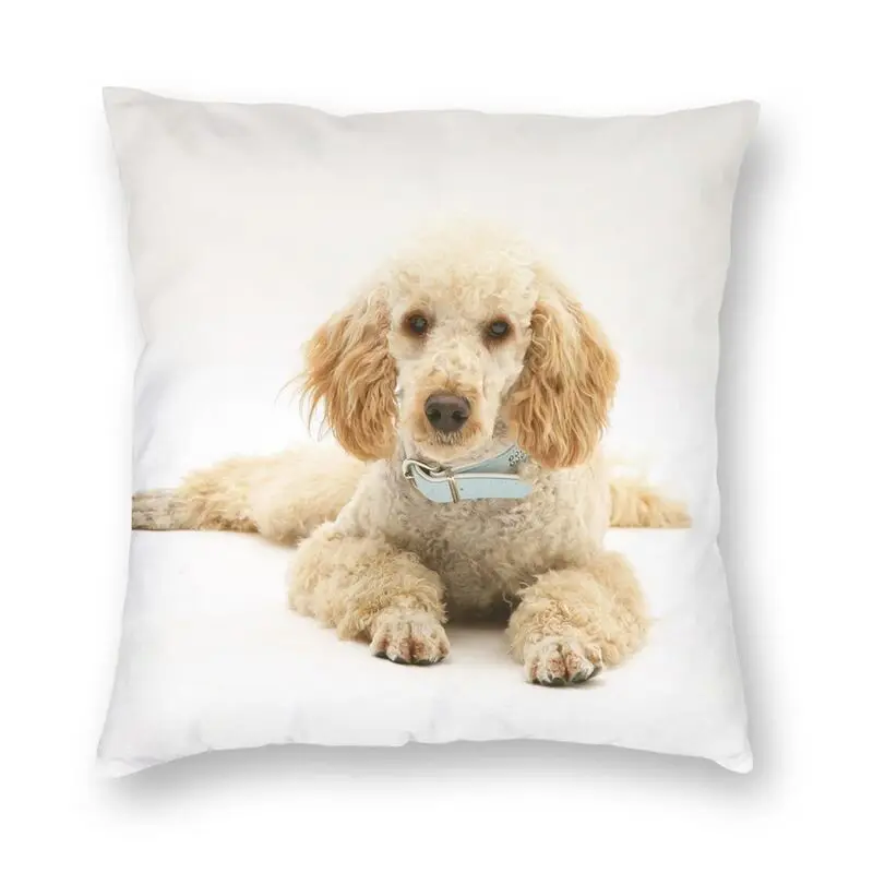 

Fashion Poodle Dog Throw Pillow Case Home Decorative Custom Animal Pattern Cushion Cover 40x40 Pillowcover for Sofa