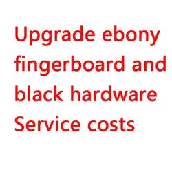 extra charge for the inlays