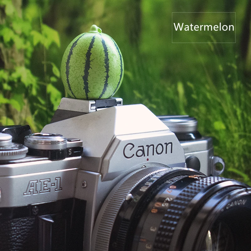 Пылезащитный чехол для камеры Fujifilm XT3/ Leica/Olympus/Canon/Nikon