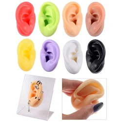 1Pc Soft Silicone Ear Model Tattoo Practice Jewelry Display Piercing Tools Earring Display Tool Acrylic Display Stand Kit