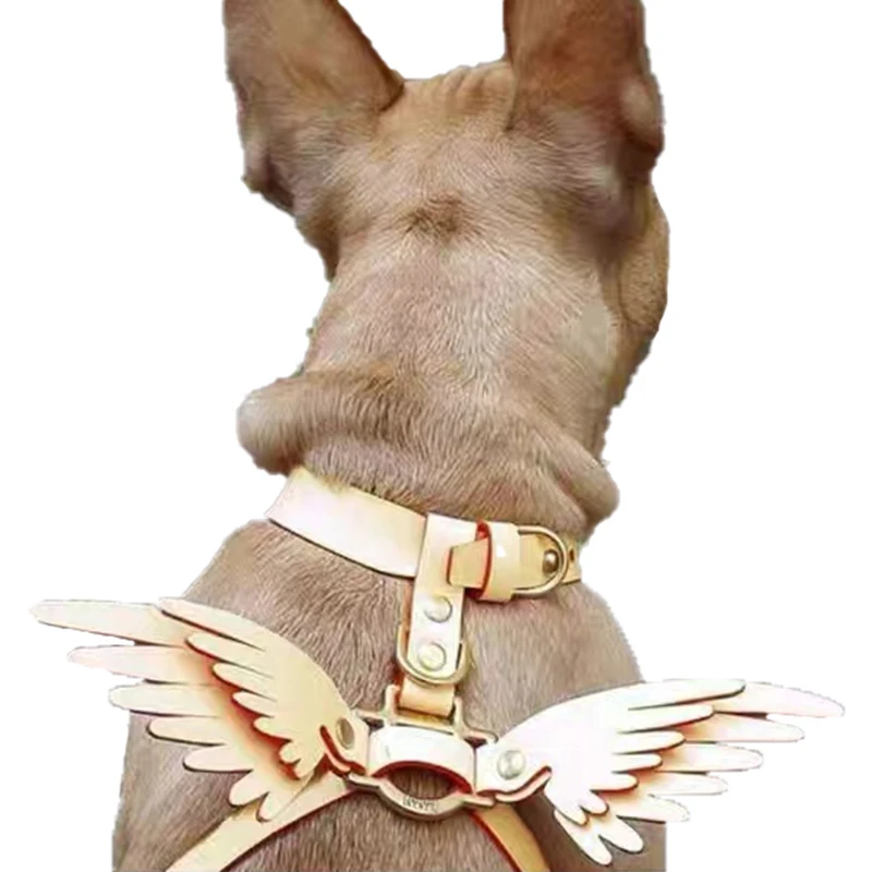 

Новинка 2021, декоративные штампы «Крылья Ангела», деревянный нож, штамп, совместимый с большинством ручных высекальных резцов