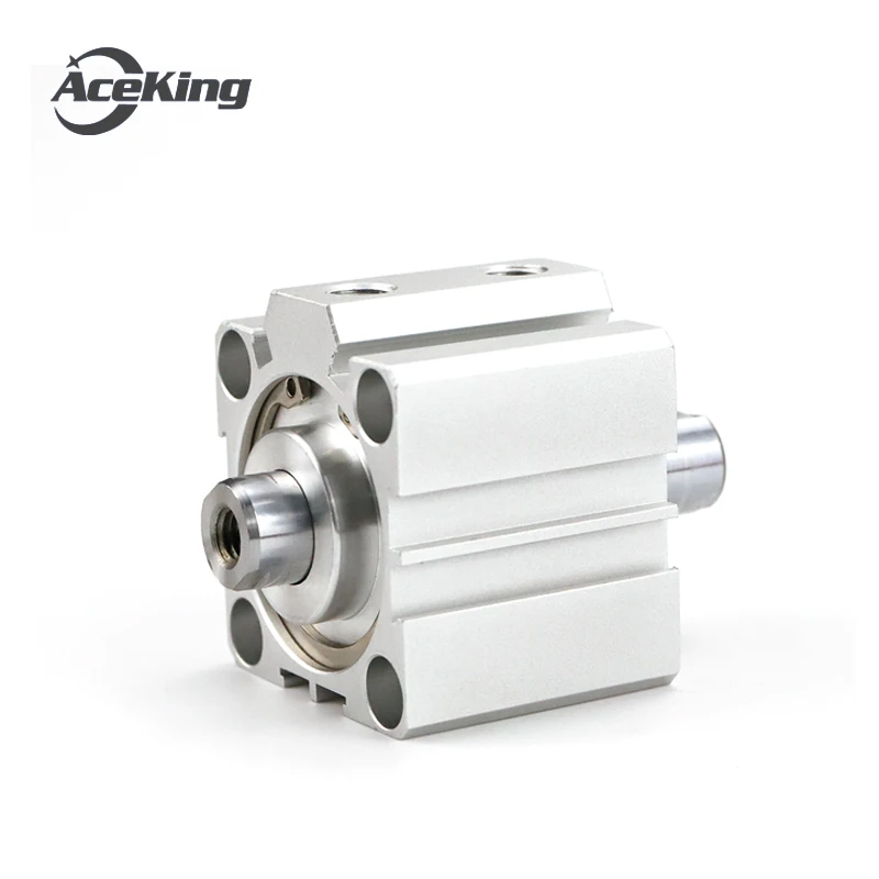 SDAD12X10X15X20X25 '30' 35 '40' 45X50 '75' 100BS المزدوج رمح رقيقة اسطوانة SDAD SDAD12-10 SDAD12-15 SDAD12-20 SDAD12-25 SDAD12-30