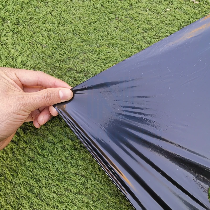 5M~50M 5Holes 95cm Width 0.02mm Black PE Film Garden Vegetable Membrane Agricultural  Seeding Plastic Perforated Plants Mulching