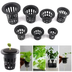 50 sztuk czarny hydroponicznych kosze Mesh Cup Vetical hydroponicznych System uprawy organiczne bezglebowe sadzenia Aeroponic doniczki przedszkolne