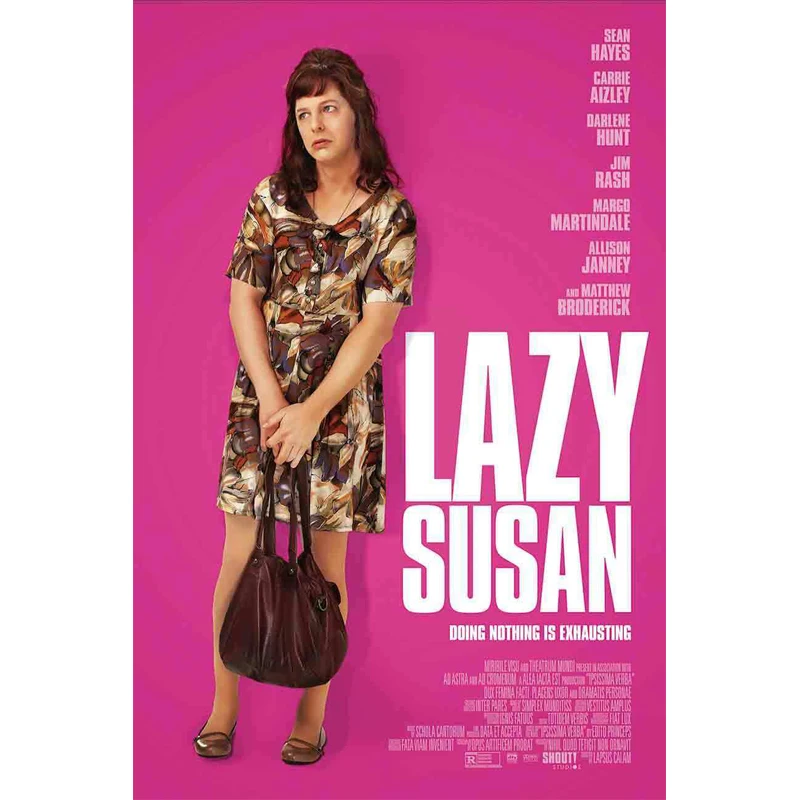 D0516 Lazy Susan Movie Silk Fabric Poster Art Decor Indoor Painting Gift