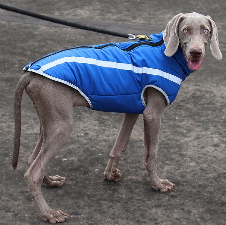 Chaleco de invierno para mascotas, chaqueta impermeable para cachorros, abrigo cálido para perros medianos y grandes, ropa reflectante, atuendo para mascotas, XL-6XL