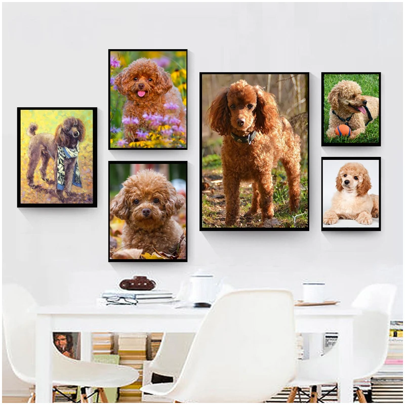 Full Square Round Diamond Embroidery Poodle Diy Diamond Painting Cross Stitch Rhinestone Mosaic Home Decor Dog StickerZP-3280