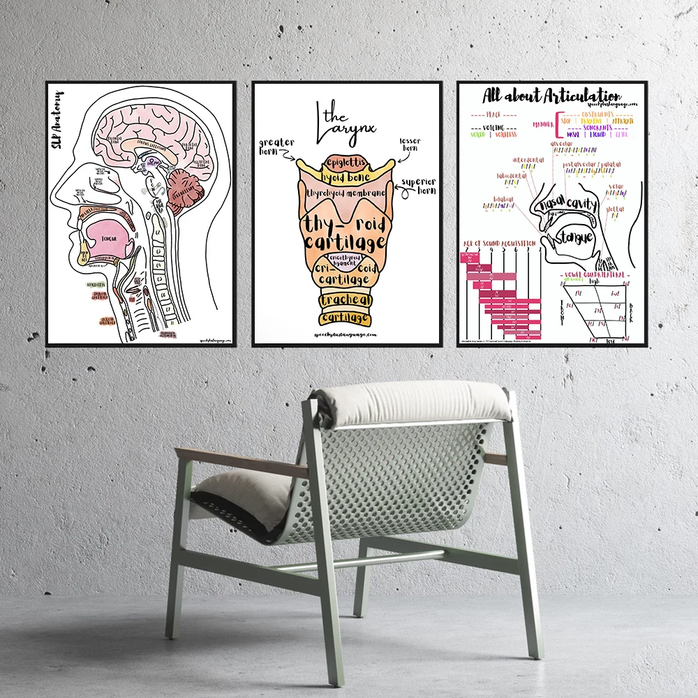 Human Head Brain Oral Cvity Anatomy Poster Vintage Print Neuroscience Physiology Wall Art Pictures Doctors Office Home Decor