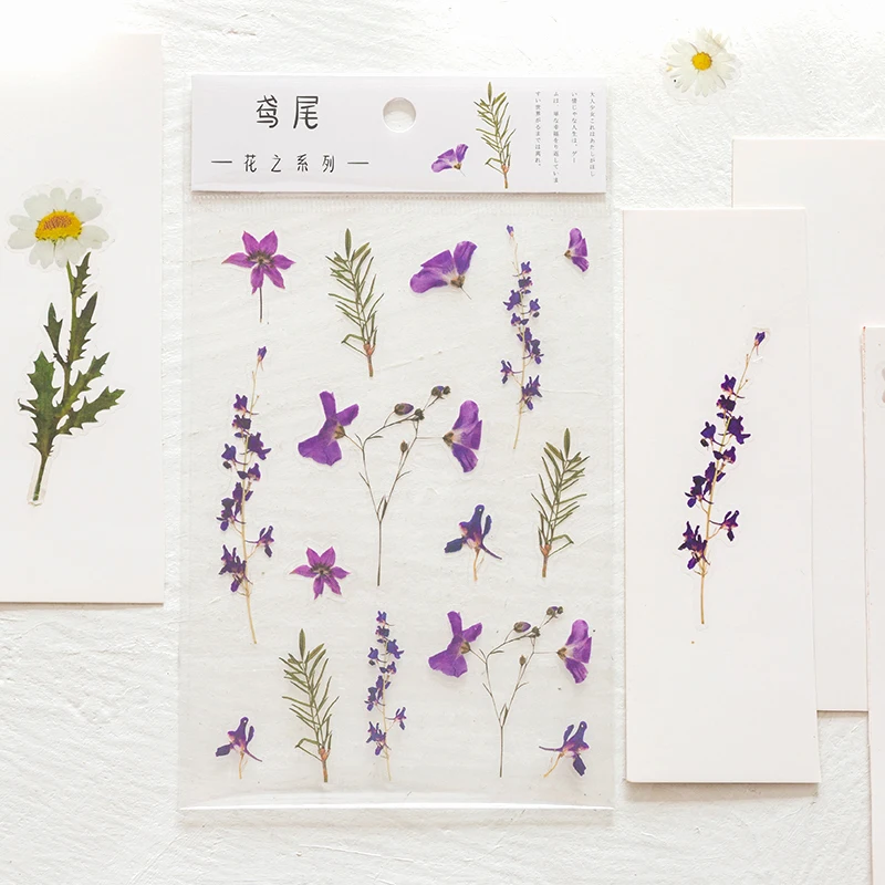 Journamm 12 Designs Natural Daisy Clover Japanese Words Stickers Transparent PET Material Flowers Leaves Plants Deco Stickers image 6