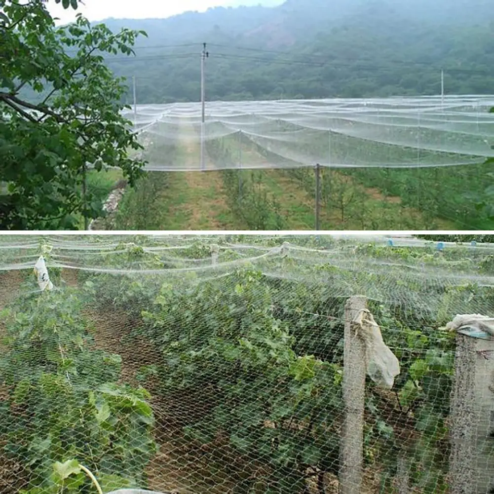 1.5cm Net Hole Orchard Garden Black Nylon Anti Bird Net Mesh Mesh For Fruit Crop Plant Tree Bird-Mesh zapobiegająca ptakom