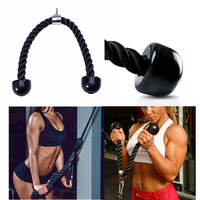 Tricep Rope Abdominal Crunches Cable Pull Down Laterals Biceps Muscle Training Fitness Body Building Gym Pull Rope