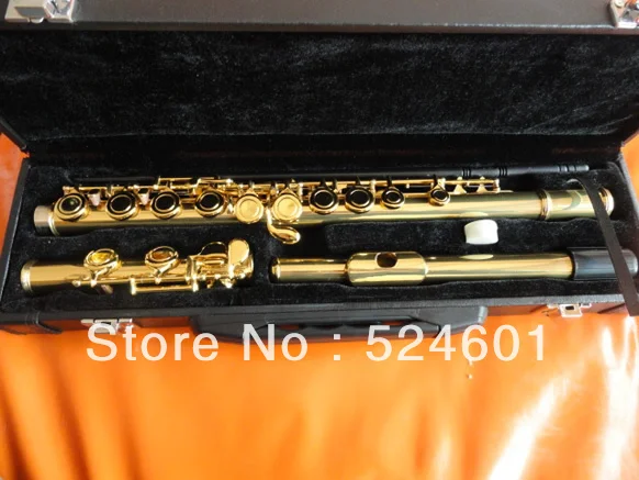 

Hot Students 16 Holes Flute Plus the E Key Cupronickel Gold Plated Flute High Qualily Instruments With Case