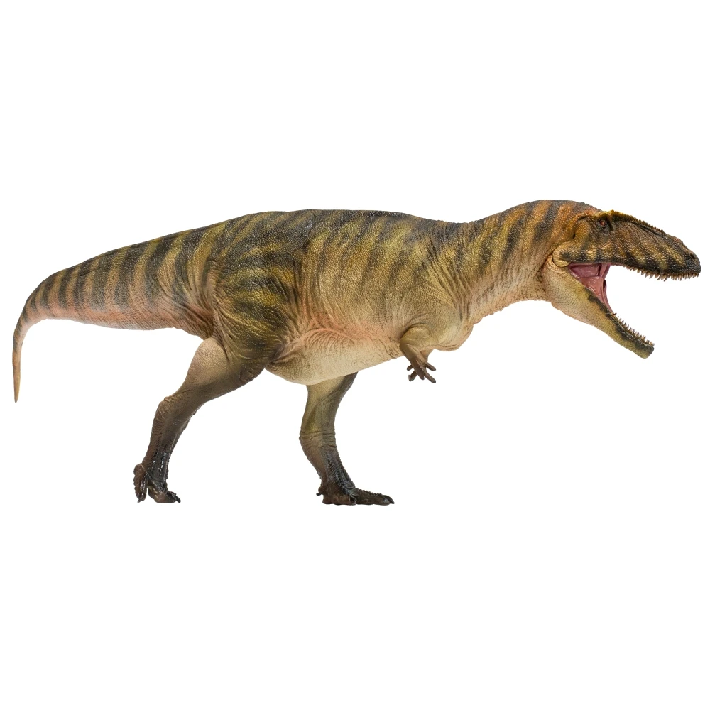 PNSO Prehistoric Dinosaur Models:50 Gamba The Carcharodontosaurus