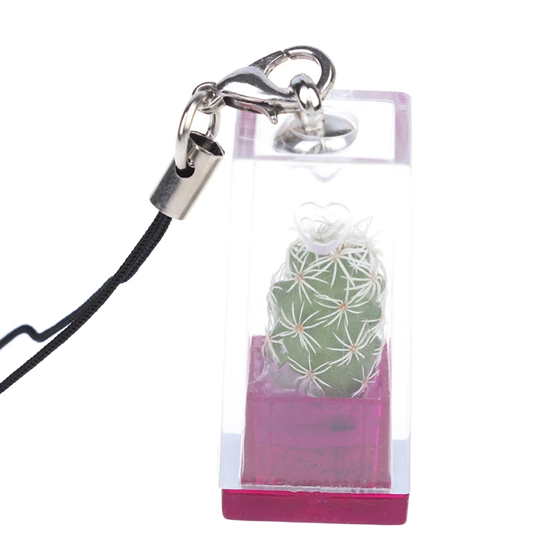 1PC Mini Succulent Cactus Plant Keychain Random Plant Pendant Keyring Charm With Glass Cover Craft Gifts For Women