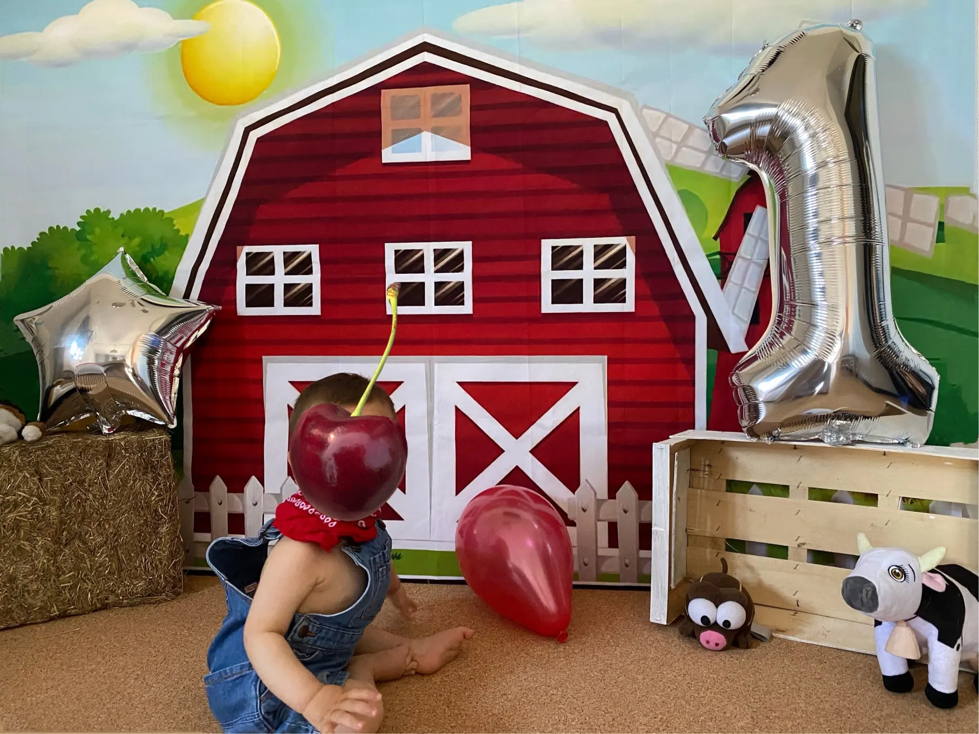 Laeacco Photography Backdrop Cartoon Rural Farm Baby Newborn Birthday Customized Banner Photocall Background For Photo Studio