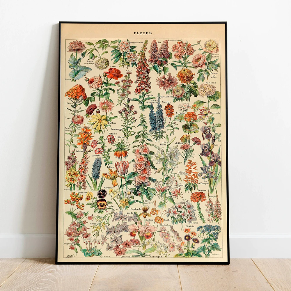 Vintage Flowers Chart Posters Canvas Painting Print Plant Wall Art Botanical Picture Biology Poster Kitchen Decoration No Frame