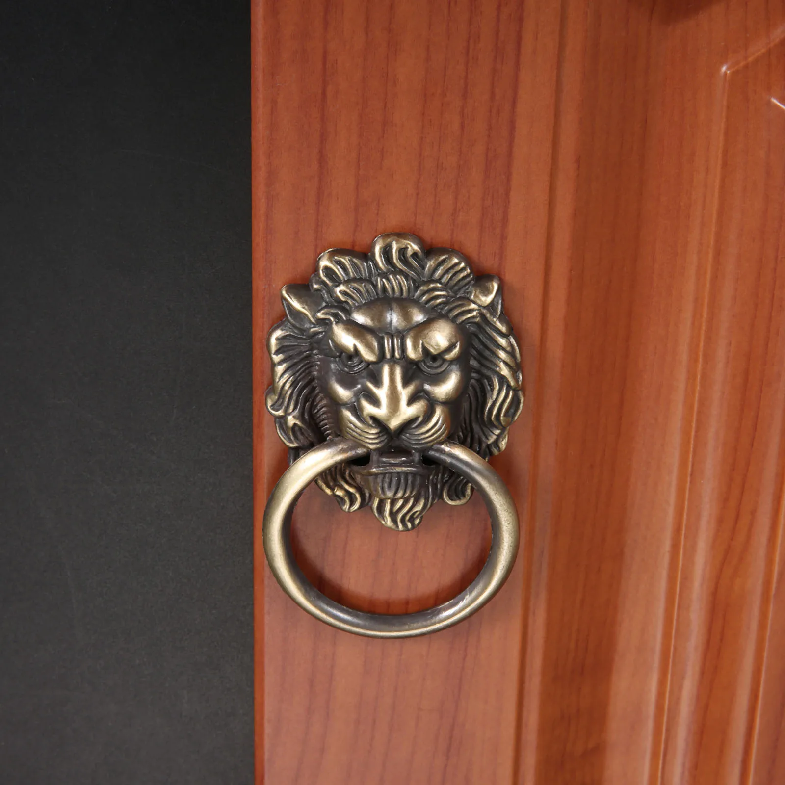 Grnd Repoussé Brss Lion Hed Door Hndle t 1stDibs | lion door