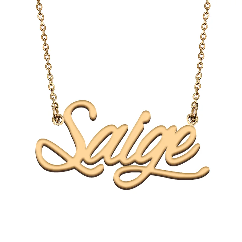 

Saige Custom Name Necklace Customized Pendant Choker Personalized Jewelry Gift for Women Girls Friend Christmas Present