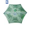 6 hole