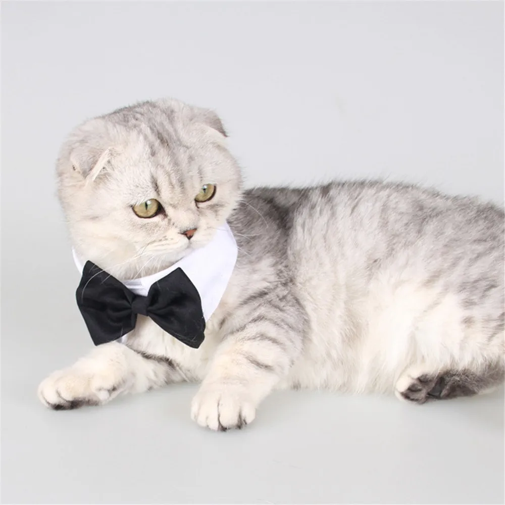 Grooming Accessories Puppy Weddings Cat Kitten Pet Formal Tuxedo Dog Bow Tie Cat Tuxedo Collar Necktie Bows