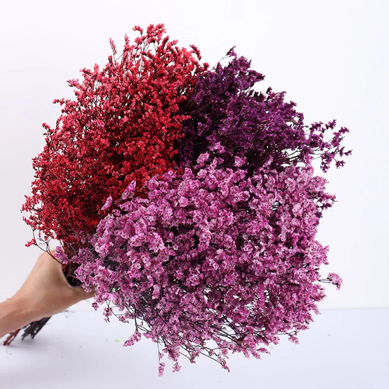 

100g Natural Fresh Dried Preserved Forget me Flowers Real Forever 60cm Lover Grass Branch For Home Decor Limonium Statice