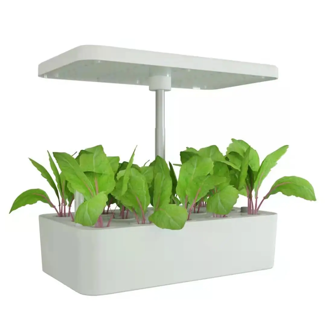 Modern Design Automatic Hydroponic System with LED Grow Lights Real Indoor Urban Garden