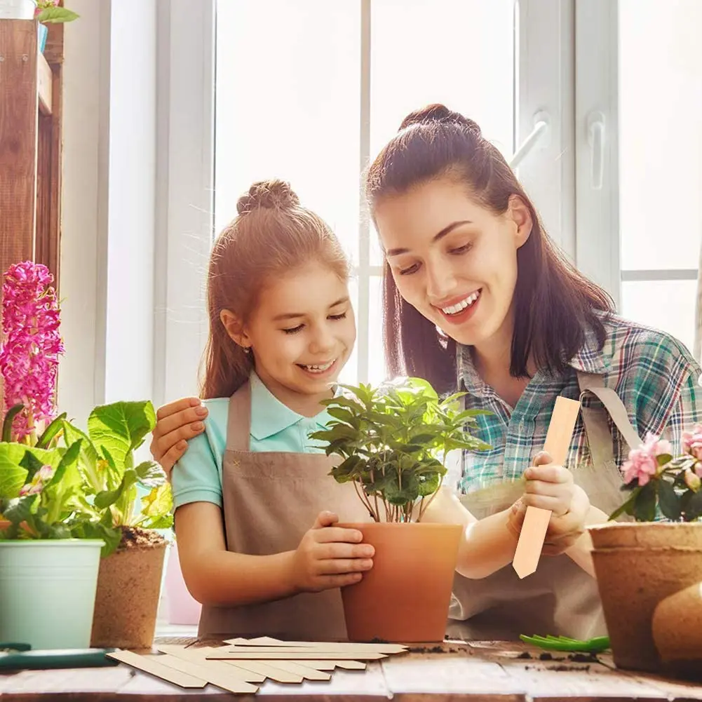صديقة للبيئة نبات خشبي الخيزران النباتات تسميات ث/1 القلم زهرة سميكة العلامة علامة حديقة الديكور الحلي الخضار أدوات