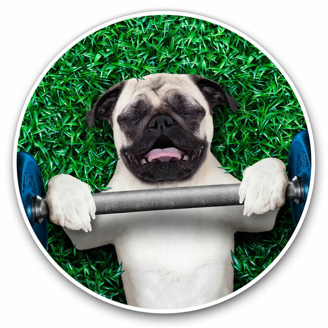 S61793 # Funny Weight Lifting Pug Animals Self-adhesive Decal Car Sticker Waterproof Auto Decors on Bumper Rear Window Laptop