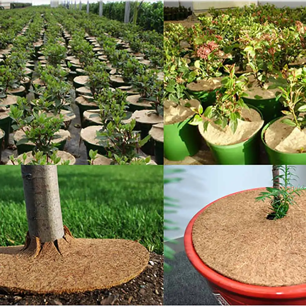 Coconut Mulch Cover  Disc Plant  Coir Mat For Gardening  Disks Frost Protect Cold Winter ing Coco