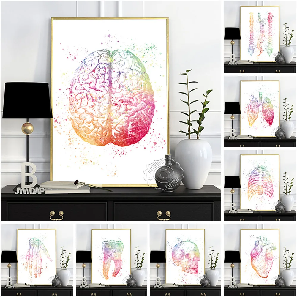 Colorful Watercolor Human Anatomy Illustration Poster, Heart Lung Brain Vertebra Teeth Skull Art Prints, Modern Home Decor Gift