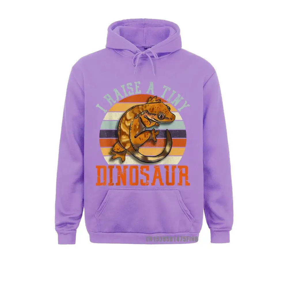 Funny Crested Gecko Eyelash Lizard Reptile Herpetologist Hoodie Sweatshirts Winter Fall Hoodies Simple Style Hoods Women