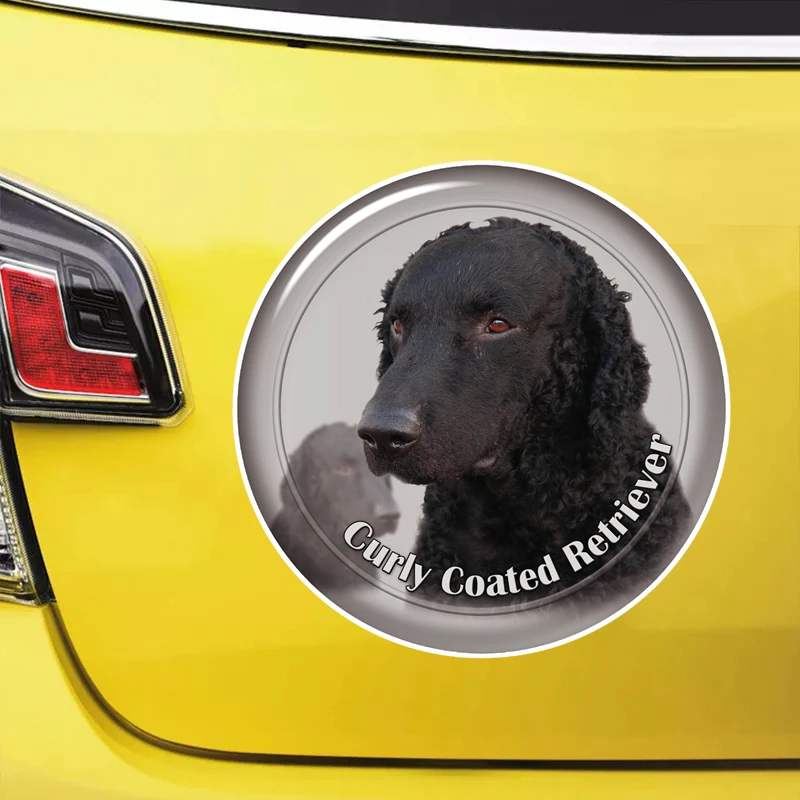 S62129# Curly Coated Retriever Self-adhesive Decal Car Sticker Waterproof Auto Decors on Bumper Rear Window Laptop Choose Size