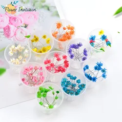10 pcs / box Natural Dried Flower Dry Plants For Aromatherapy Candle Epoxy Resin Pendant Necklace Jewelry Making Craft DIY Decor