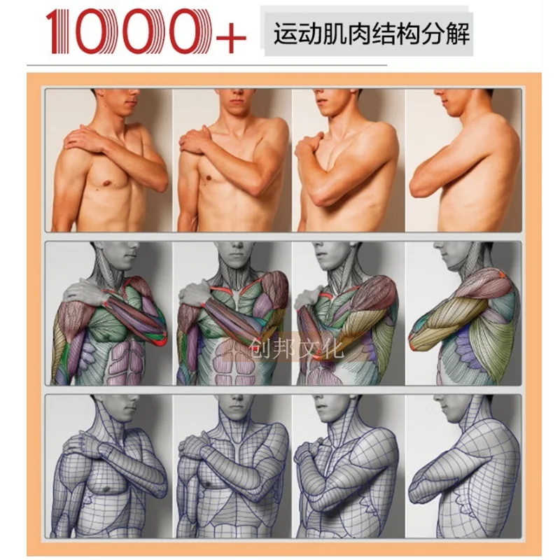 3D HD Art Human Body Books Sculpture game character design basic tutorial books drawing Human form, structure, skeletal muscle