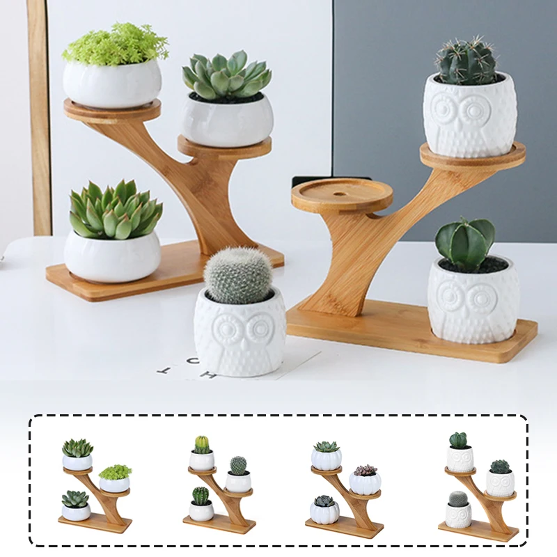 Creative Succulent Plant Shelves Flower Display Stand Bamboo Frame Ceramic Flowerpot Plant Tray