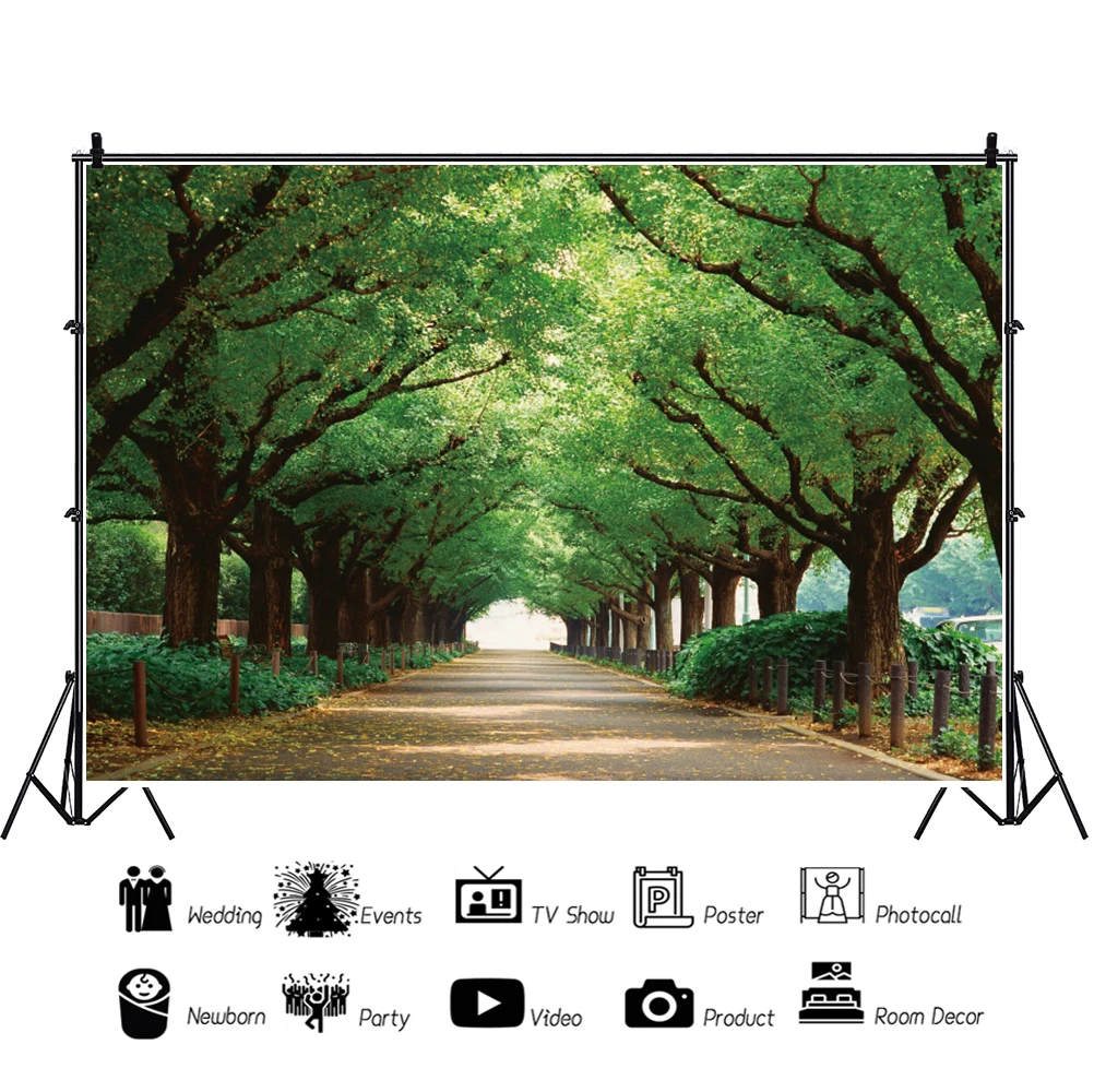 Yeele الربيع شجرة الأخضر يترك التصوير الفوتوغرافي المناظر الطبيعية خلفيات للتصوير الفوتوغرافي التصوير الخلفيات للصور استوديو الدعائم