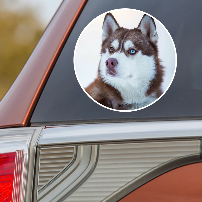 S60086# Siberian Husky Dog Puppy Self-adhesive Decal Car Sticker Waterproof Auto Decors on Bumper Rear Window Laptop Choose Size