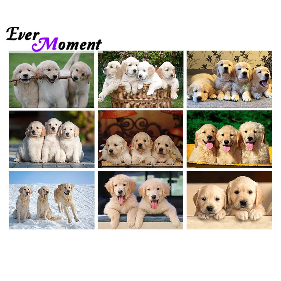 

Ever Moment Diamond Painting Golden Retriever Pet Dog Mosaic Full Square Drill Picture Of Rhinestone Wall Decoration DIY ASF2379