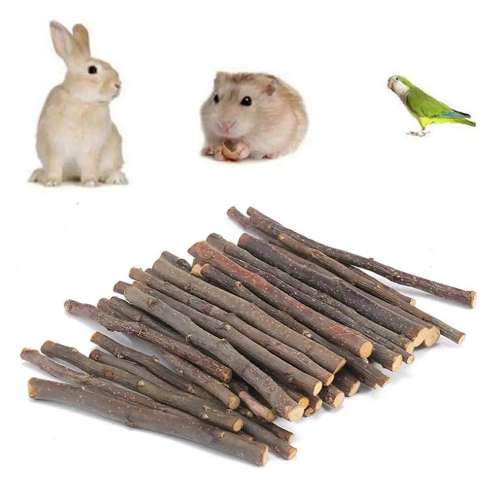 20/40/60Pcs Chew Stick Apple Tree Branch Hamster Squirrel Natural rich taste Toys Parrots Rabbits Pet Bunny Hamster Wood Toys