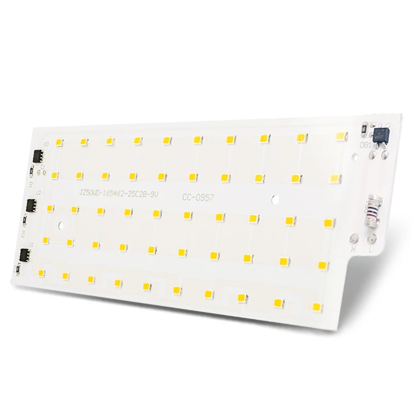 2 sztuk/partia 50W LED Chip światła powodzi AC 220V 240V SMD 2835 reflektor reflektor koraliki uliczne LED lampa krajobraz dla DIY oświetlenie