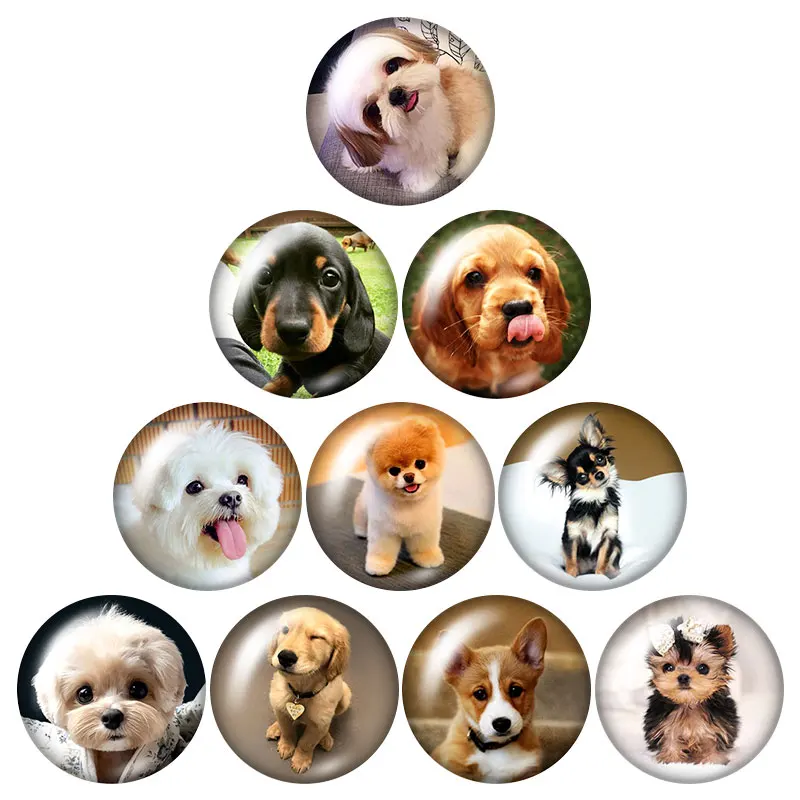 NEW cute dogs Love Pet Bulldog Shepherd dog 10pcs 12mm/16mm/18mm/25mm Round photo glass cabochon demo flat back Making findings