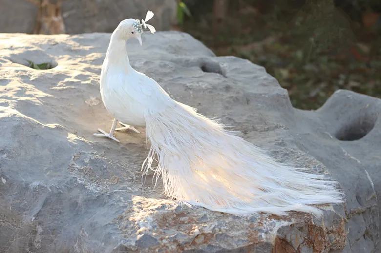 about  60cm white feathers peacock lifelike bird model foam&feathers bird handicraft,home garden wedding decoration a2580