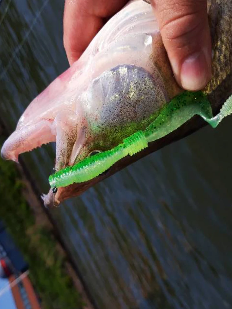 ESFISHING Phản Grub 5 100Mm Sigle Đuôi Grub Mềm Mại Nhân Tạo Silicone Mồi Pesca Mồi Câu Cá Cho Tất Cả Cá hai Màu Sắc